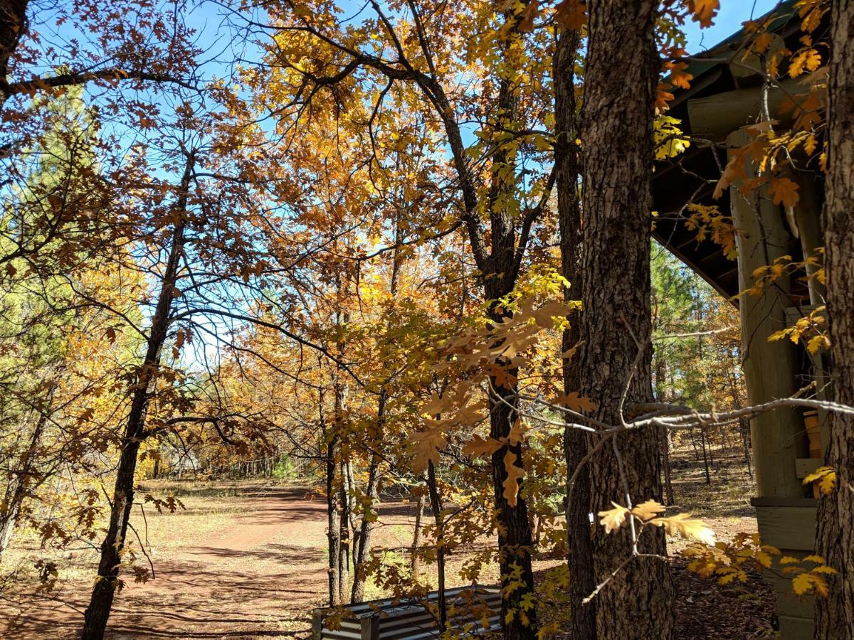 Cozy Cub Log Cabin - Year Round Tranquil Beauty Pinetop-Lakeside Exterior foto